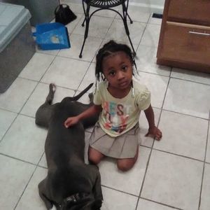 Meet your Posher, Kevin